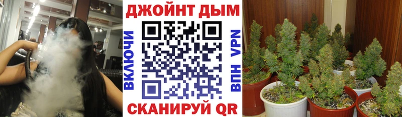 Где продают наркотики Каргат mega как войти A PVP ГАШ COCAIN МАРИХУАНА