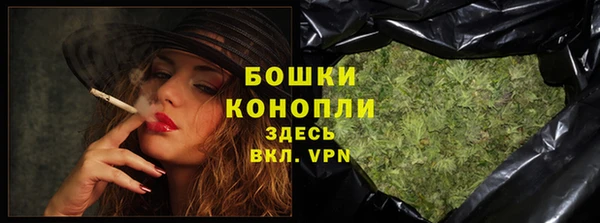 шишки Новодвинск