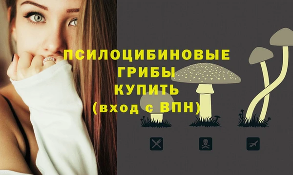 прущая мука Верея
