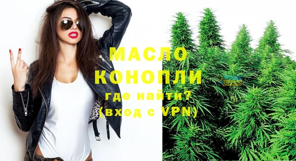 хмурый Бородино