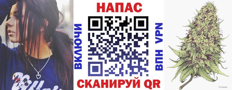 что такое   mega ссылка  Бошки марихуана VHQ  Каргат 